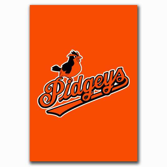 Baltimore Pidgeys Print/Sticker