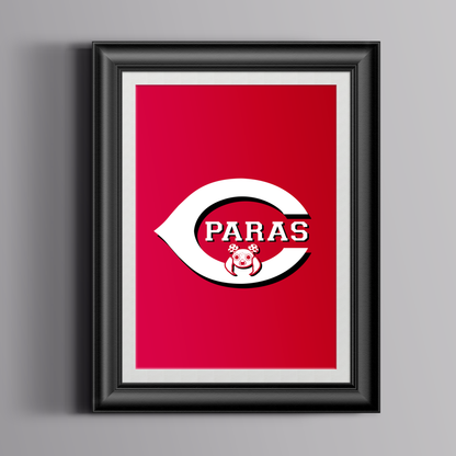 Cincinnati Paras Print/Sticker